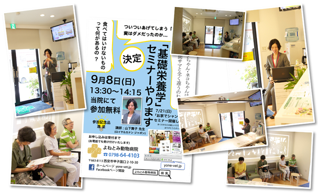 2013.9.8 「基礎栄養学」セミナーを行いました。