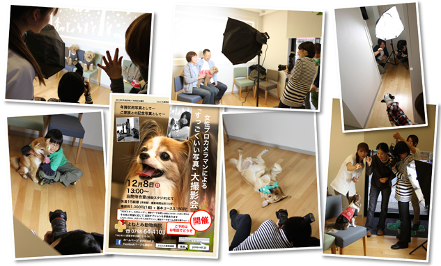 2013.10.27 「アレルギー初歩の初歩」セミナーを行いました。