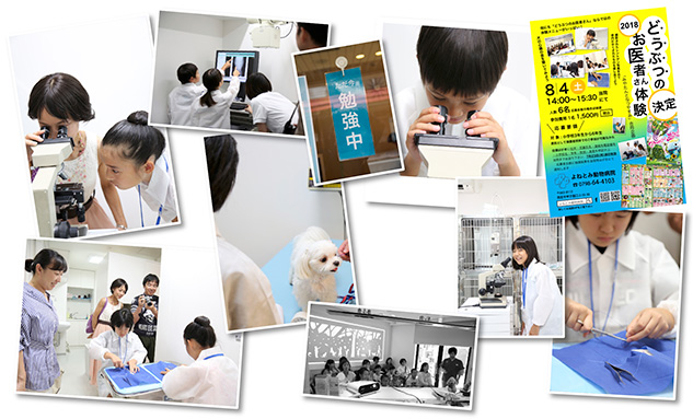 「どうぶつのお医者さん体験」2018を開催しました。